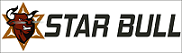 Star Bull Electric Rickshaw